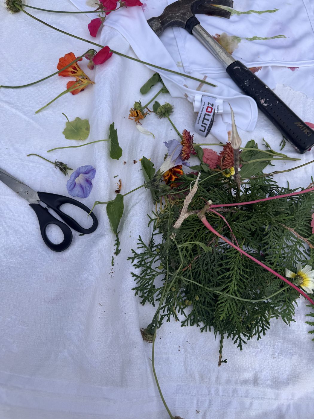 Blomster, grener, saks og hammer på en hvit duk